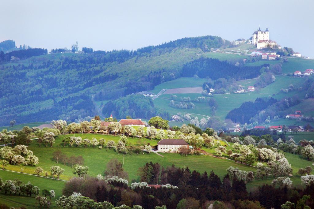 Landhotel Moshammer Waidhofen-Ybbs Dış mekan fotoğraf