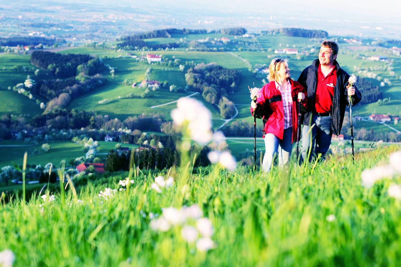 Landhotel Moshammer Waidhofen-Ybbs Dış mekan fotoğraf